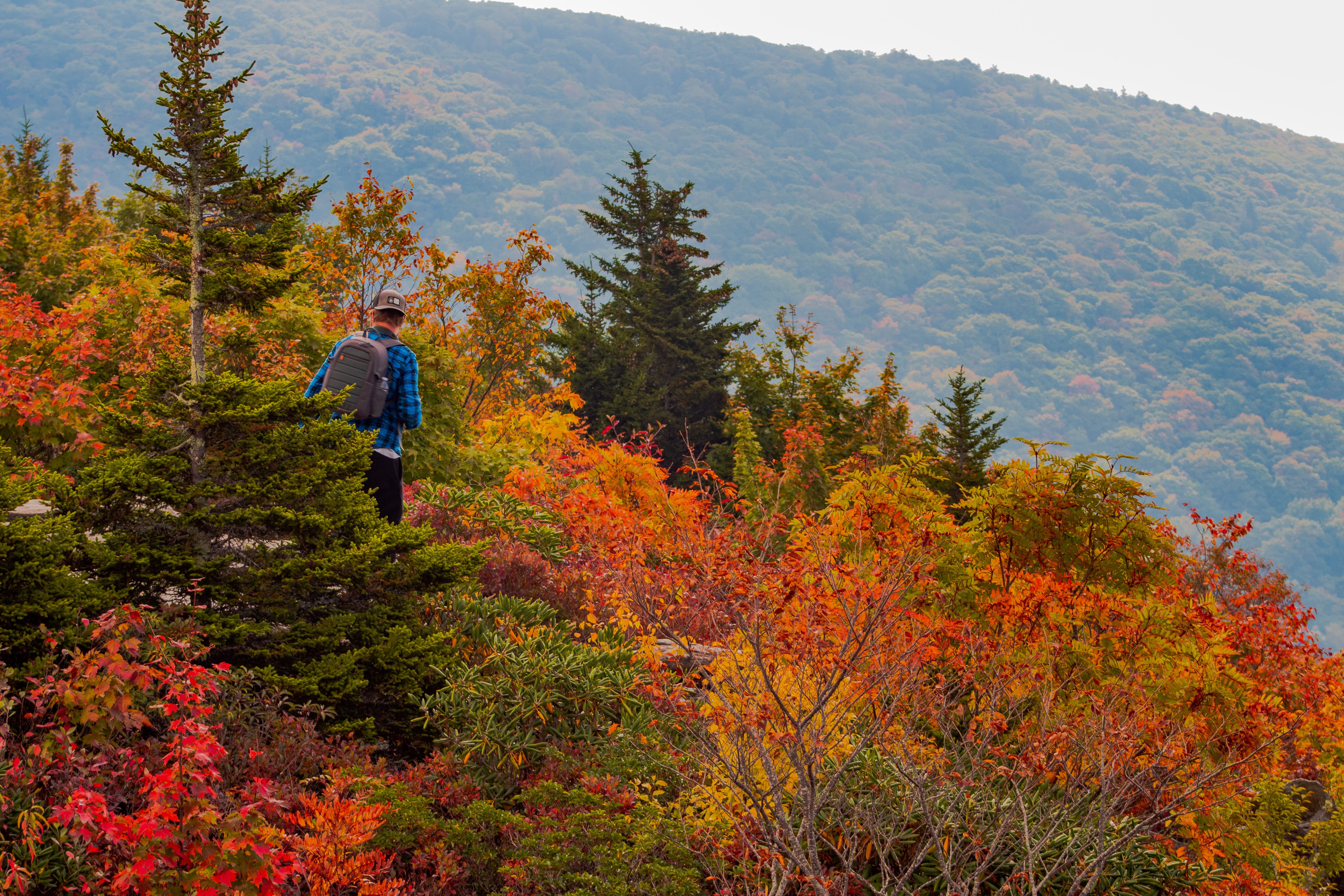 scenic-mountain-view-with-a-solitary-hiker-2026